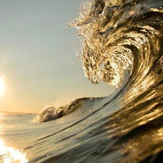 cool wave