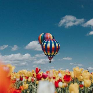 Springtime 4k wallpaper