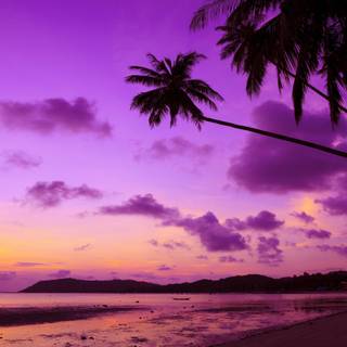 for slayqueenrainbow i know u like purple