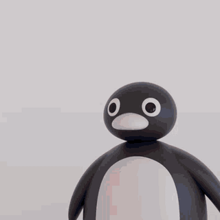 noot noot, NOOT NOOT