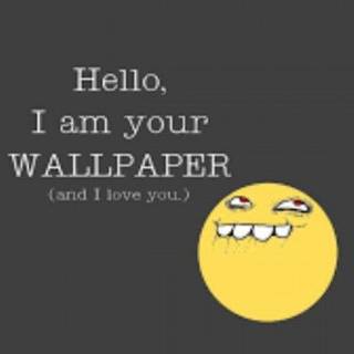 Funny Wallpaper