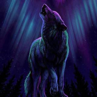 Wolf Northern Lights wallpaper