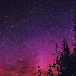 Night sky Aesthetic wallpaper