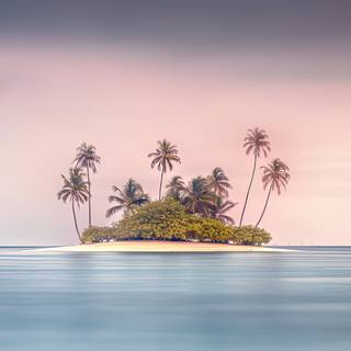Dreamy Tropical Beach Artwork