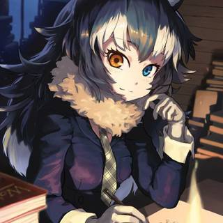  gray wolf kemono friend wallpaper