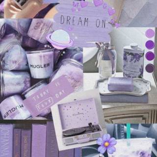 Lilac color wallpaper 