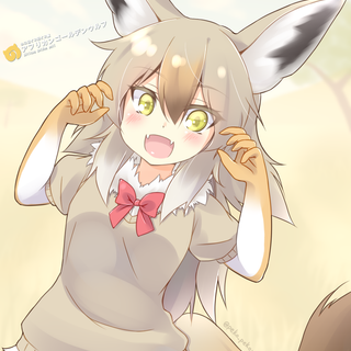 African golden wolf kemono friends wallpaper
