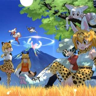 kemono friends wallpaper
