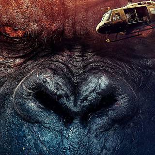 King Kong Face wallpaper