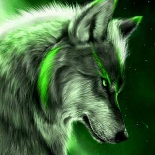 Green wolf wallpaper