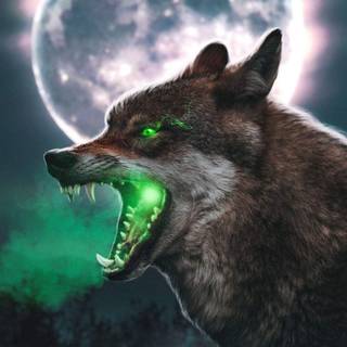 Green wolf wallpaper