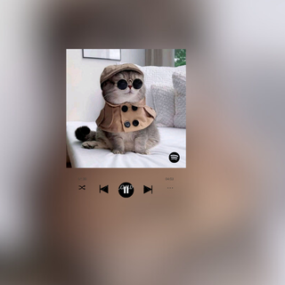 Cat spotify wallpaper for chromebook