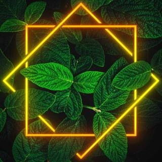 Orange neon leaves wallpaper