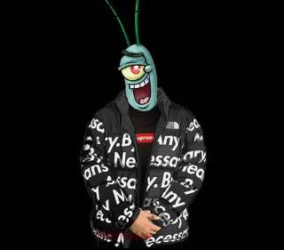 plankton drip