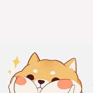 Cute Corgi wallpaper