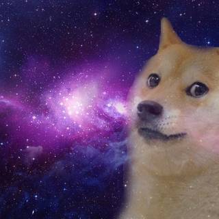 galaxy doge
