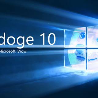 windoge 10
