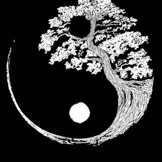 yin and yang iphone wallpaper