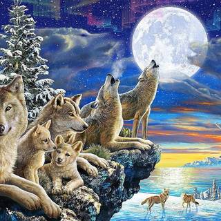 Wolfpack art wallpaper