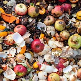 food waste THATS CRAZY!!!!