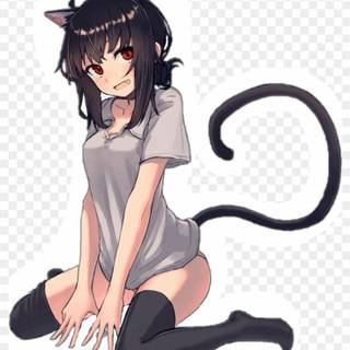 Cat anime girl