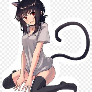 Cat anime girl