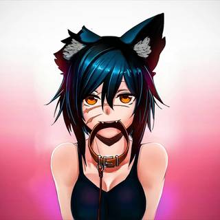 Cat anime girl