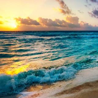 Sunset tropical 8k wallpaper