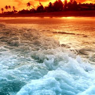 Sunset tropical 8k wallpaper