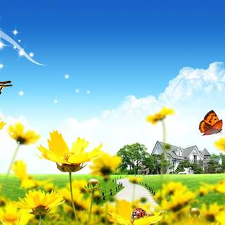 Springtime with butterflies wallpaper