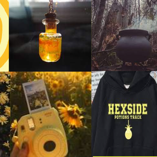 Potions Coven Aesthetic