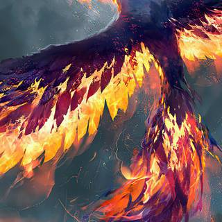 Phoenix wallpaper
