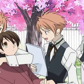 When you wish you were Haruhi
