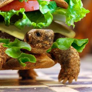 Cheeseburger Turtle meme