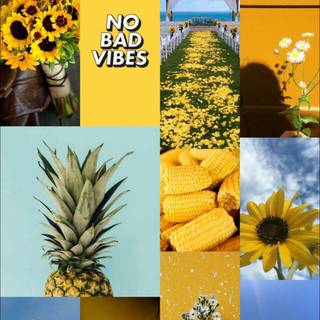 good vibes all around 