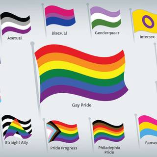  LGBTQIA Different flags wallpaper