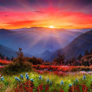 Sunset Spring Landscape