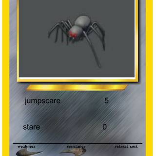 Pokemon spider/ timothy