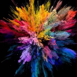 Splash of color of spring wallpaper