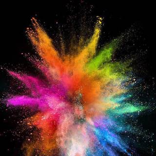 Splash of color of spring wallpaper