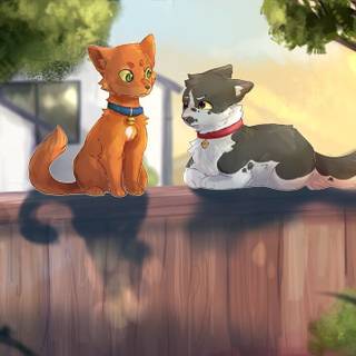 Warrior cats
