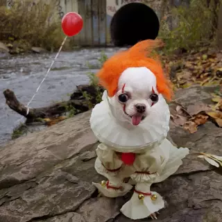 Pennywise Puppy