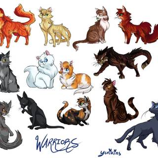 Warrior Cats <3