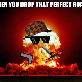 When You Drop the Perfect Roast