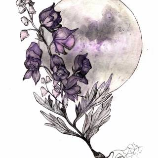 wolfsbane