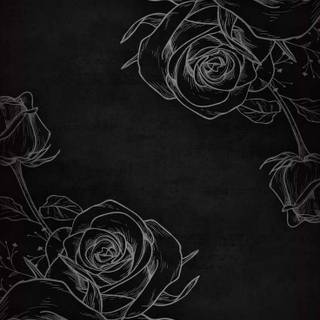 Black rose wallpaper