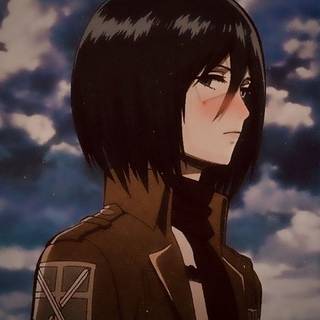 Mikasa pfp✨
