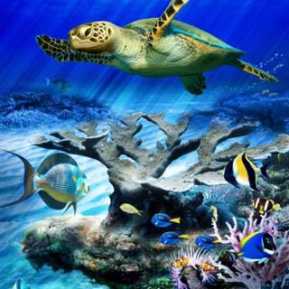 Sea turtle underwater 4k wallpaper
