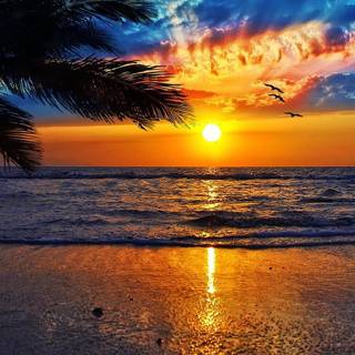 Sunset at a beach wallpaper 