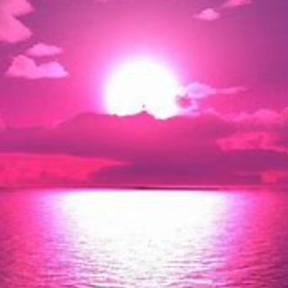  Pink Sunset